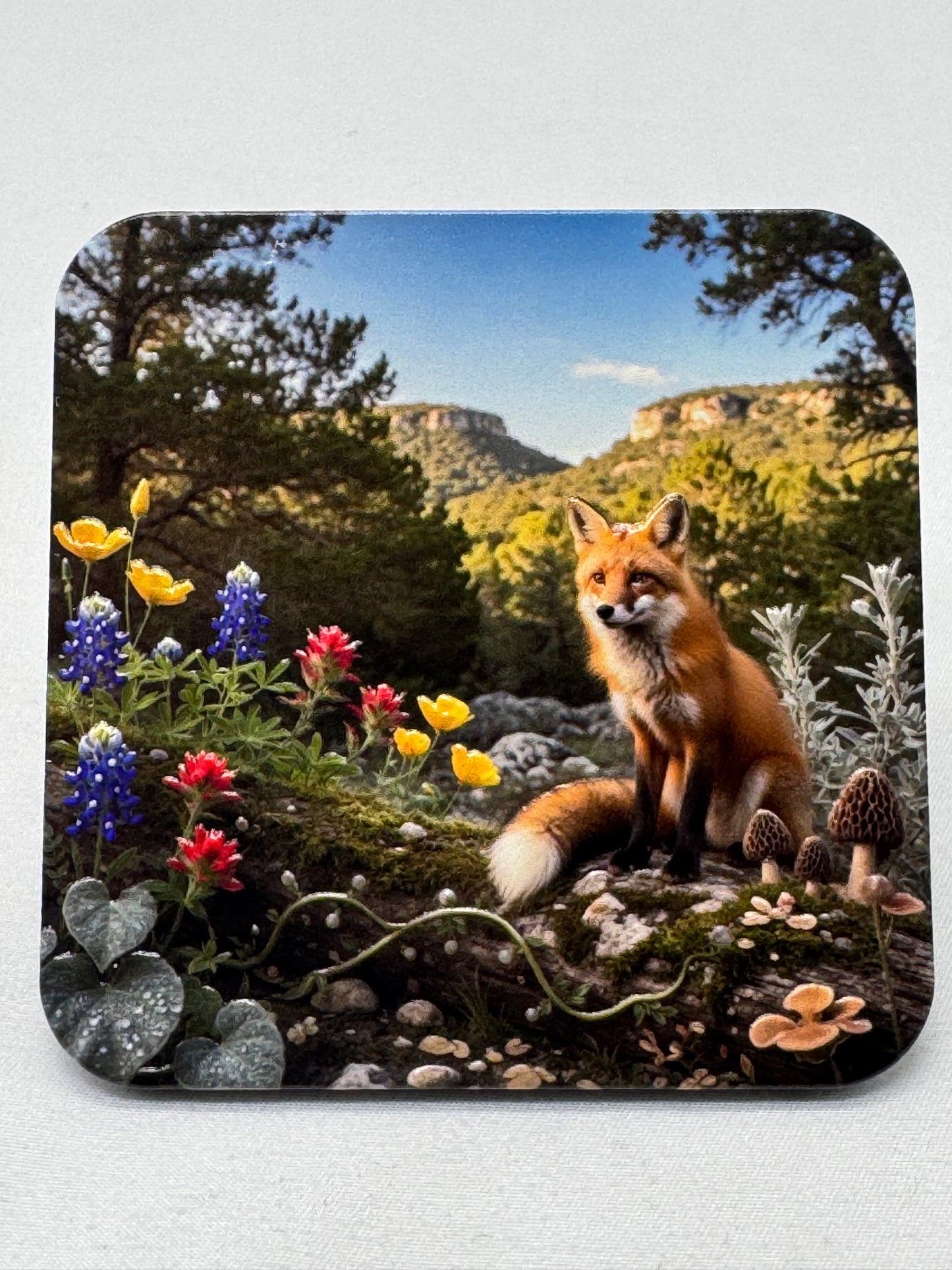 Animal Friends  - Forest - 3D Texture Magnets