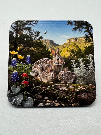 Animal Friends  - Forest - 3D Texture Magnets