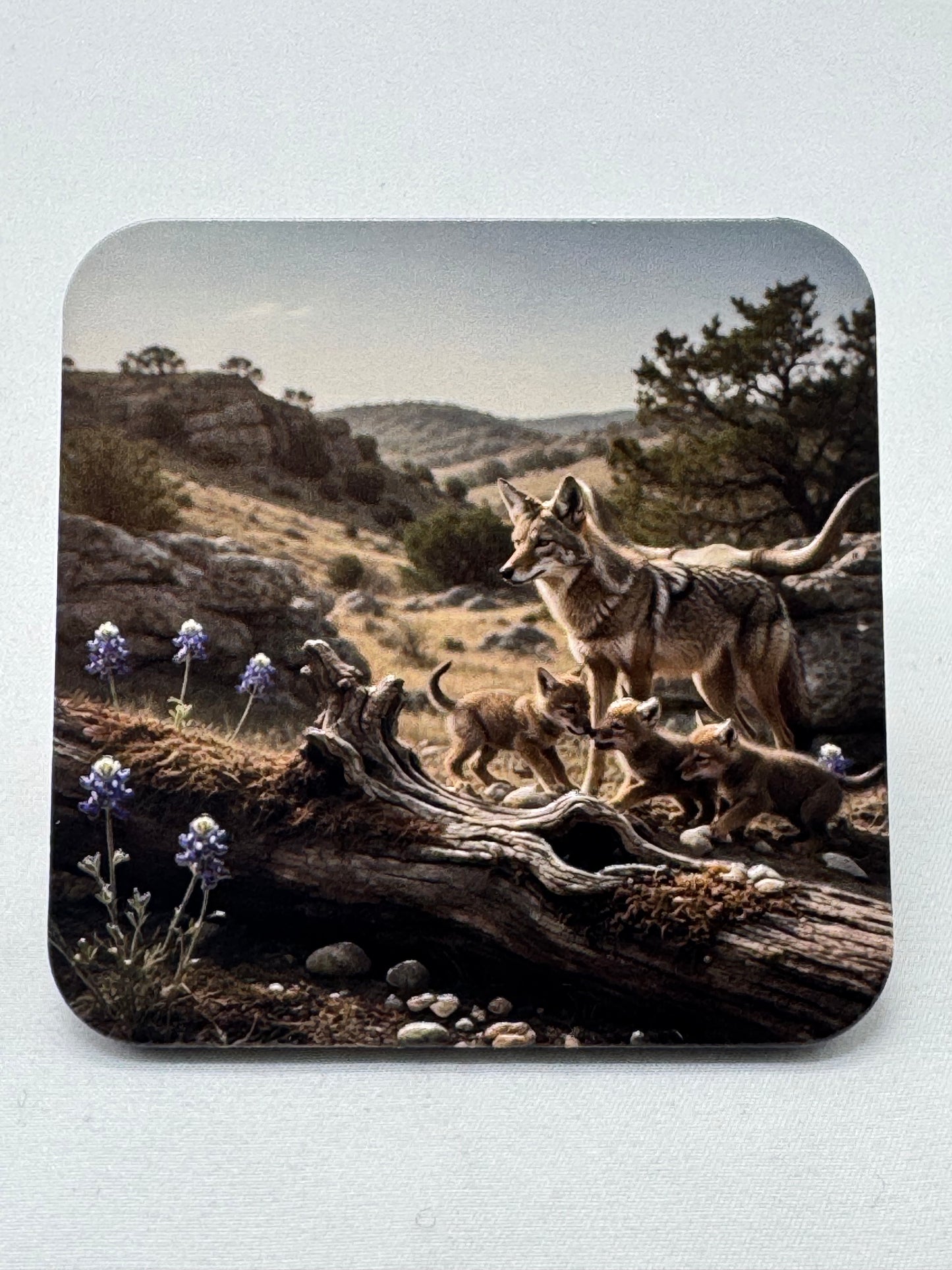 Animal Friends Hillside - 3D Texture Magnets
