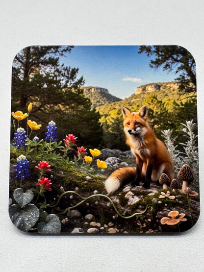 Animal Friends  - Forest - 3D Texture Magnets