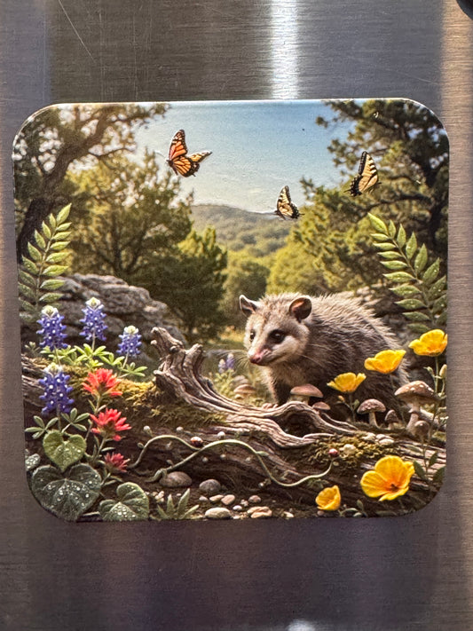 Animal Friends  - Forest - 3D Texture Magnets
