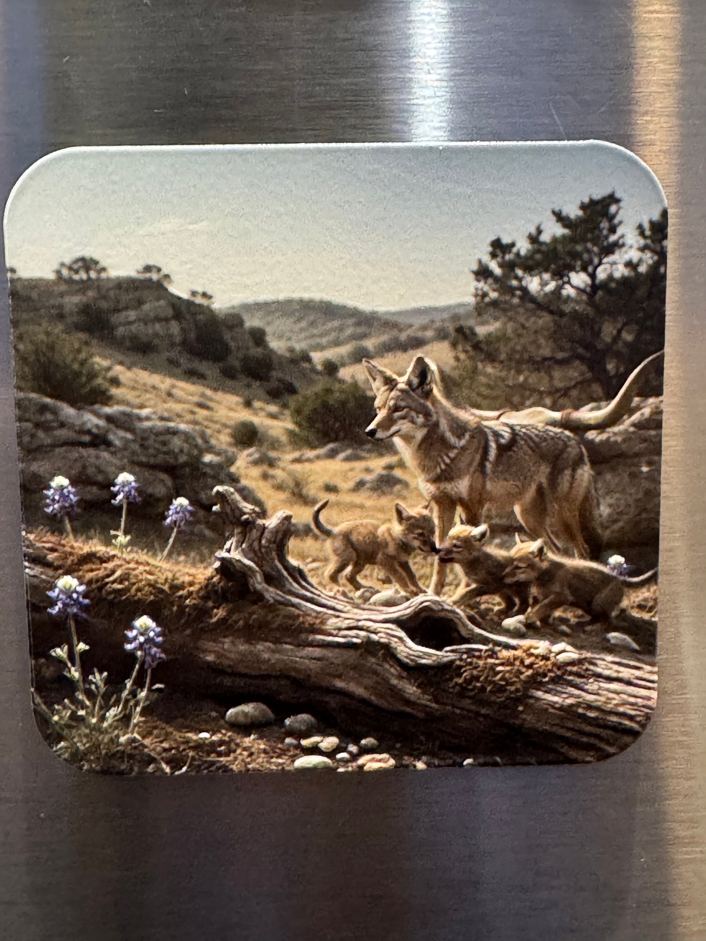 Animal Friends Hillside - 3D Texture Magnets