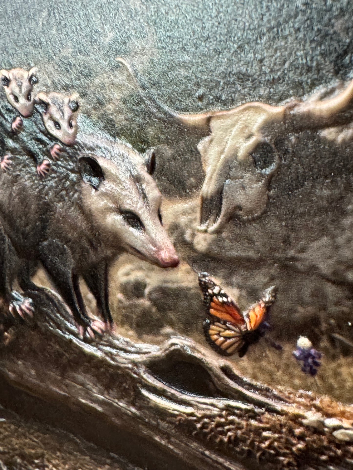 Animal Friends Hillside - 3D Texture Magnets